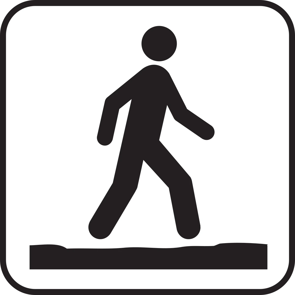 Walking Track Image